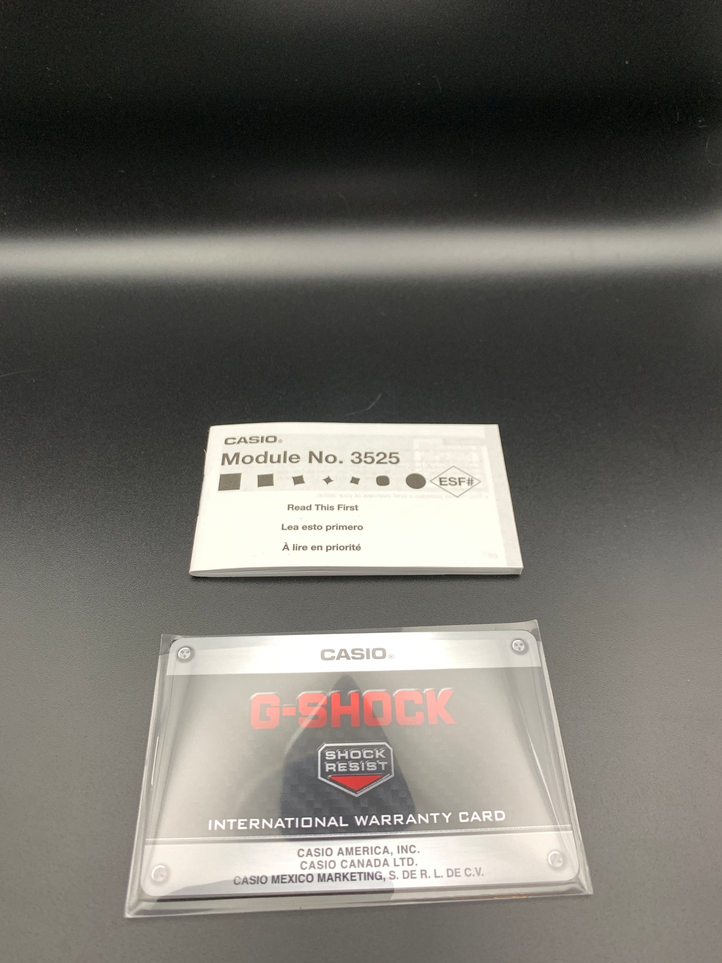 Custom G-Shock. CasioOak. DW5600 metal case. Negative Display.
