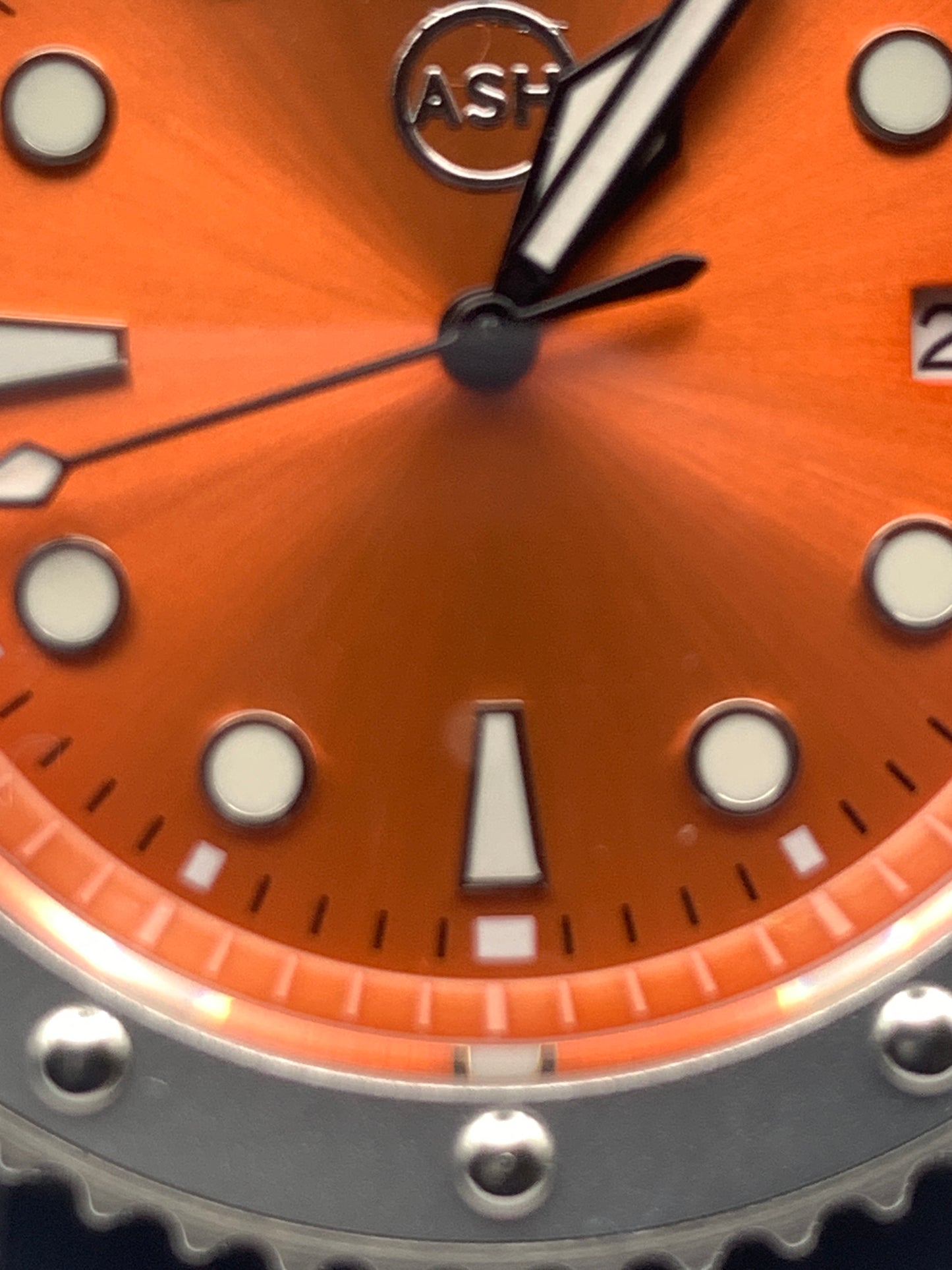 Skaro. 42mm Stainless steel. Sapphire crystal. Seiko NH35.