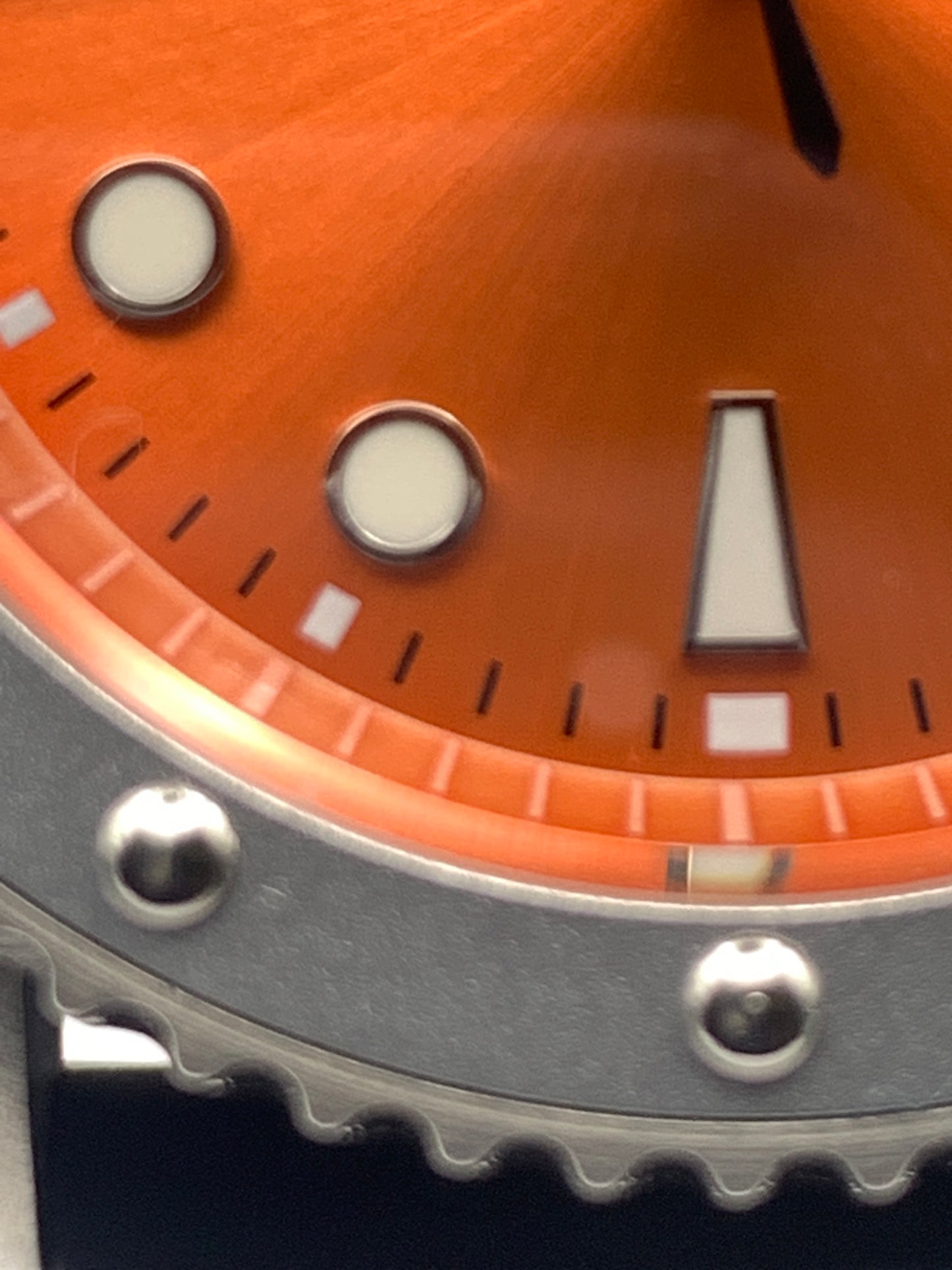 Skaro. 42mm Stainless steel. Sapphire crystal. Seiko NH35.