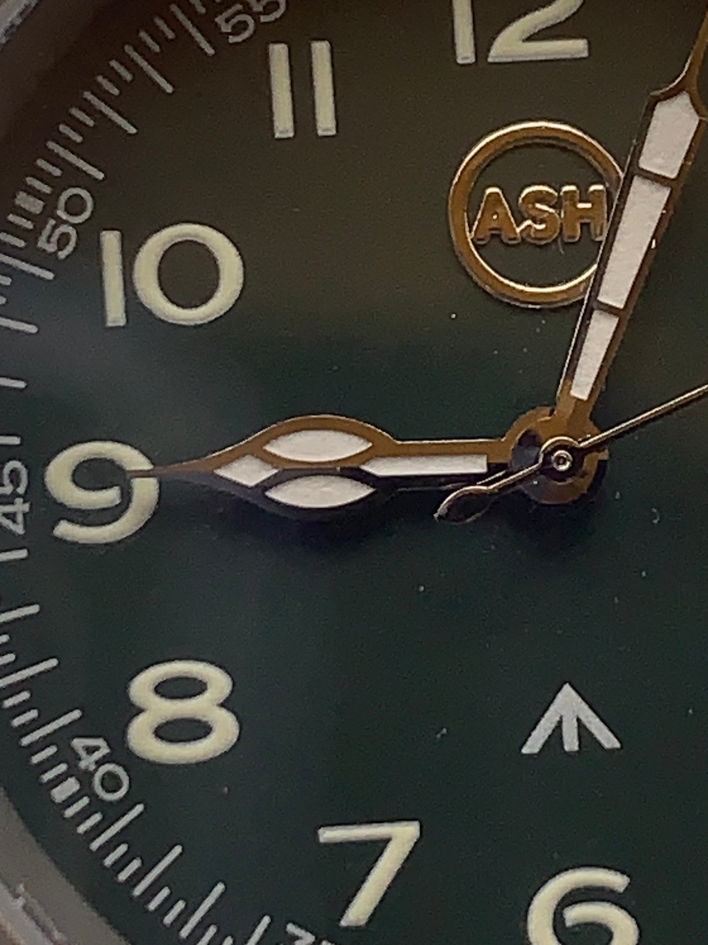 Warrior Chloe. 36mm Titanium case. Sapphire crystal. Seiko VH31 mecha-quartz.