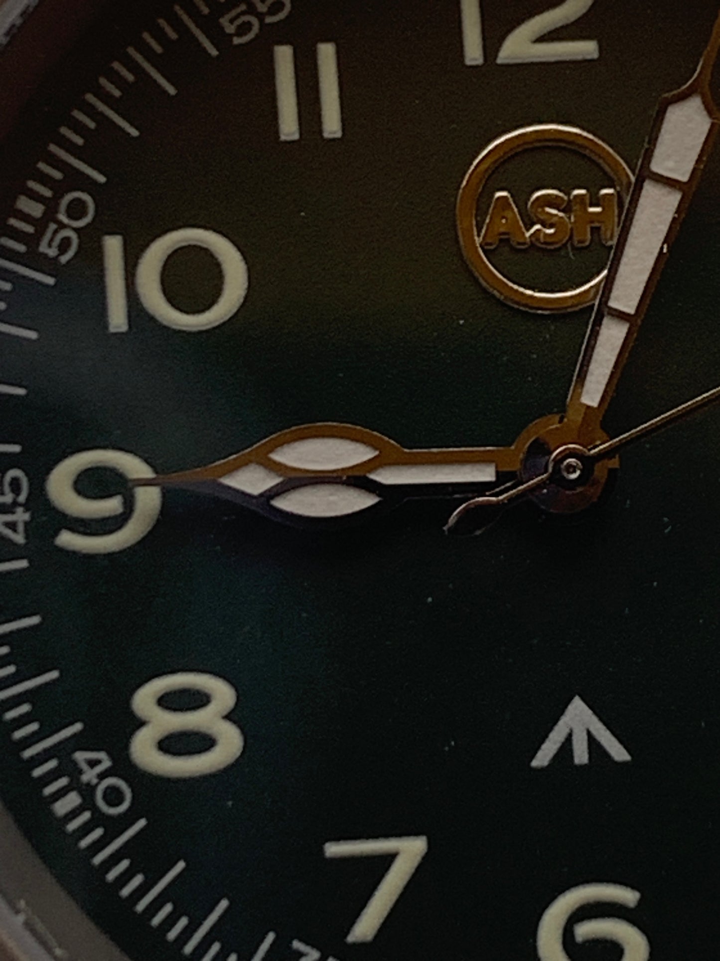 Warrior Chloe. 36mm Titanium case. Sapphire crystal. Seiko VH31 mecha-quartz.